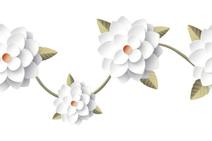 White flowers and green leaves on a light background